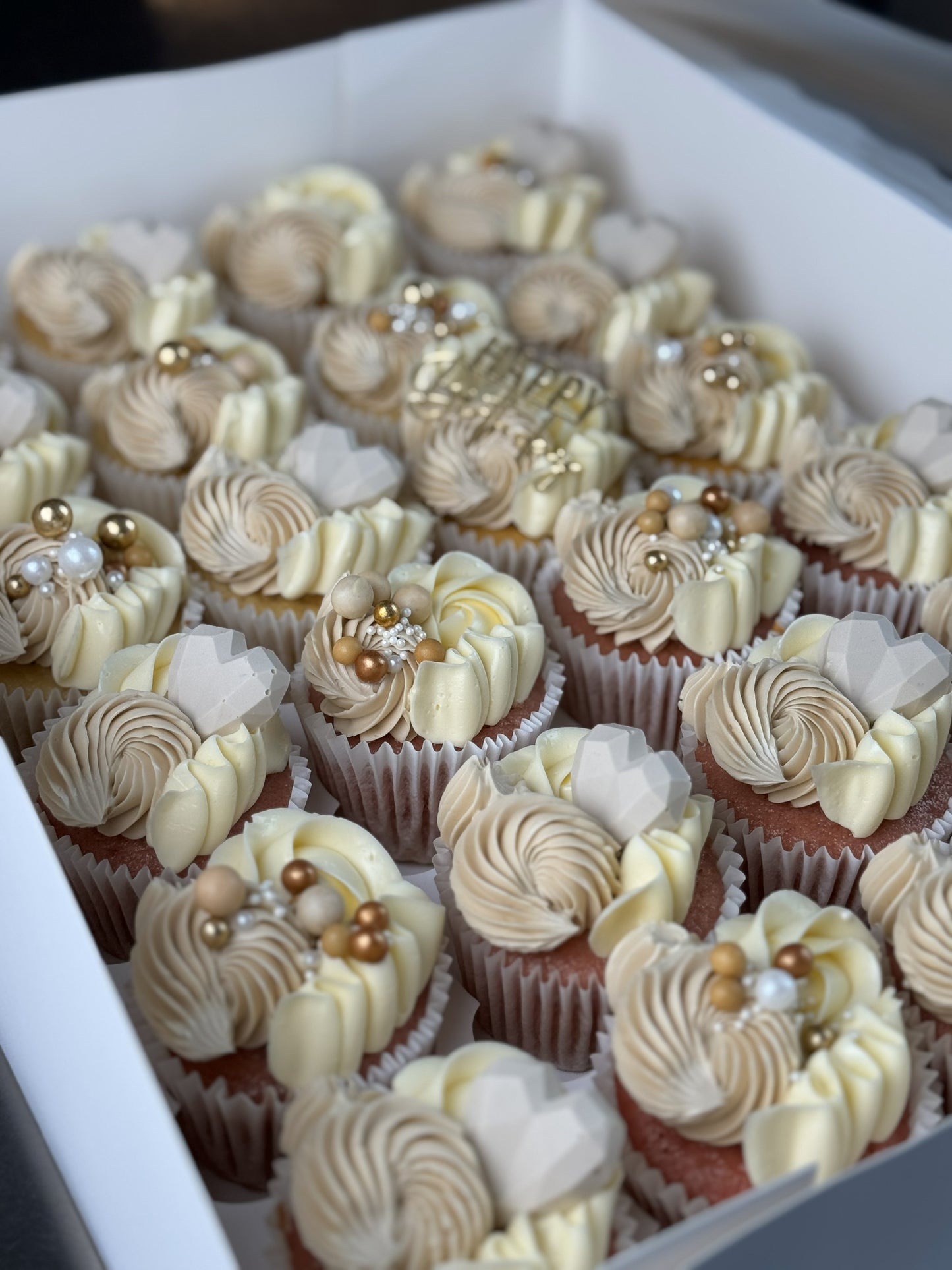 Bento & Cupcake Sets